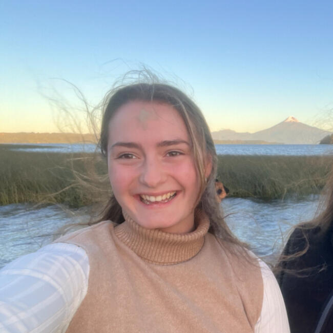 Niñera en Santiago de Chile: María Teresa Gebauer