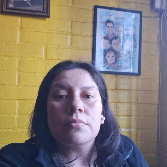 Trabajo para niñera en Maipú: Carolina