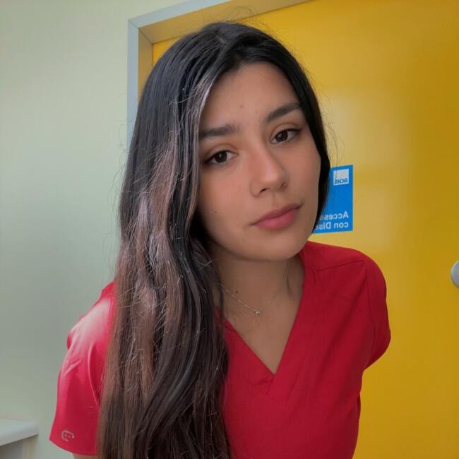Niñera en Coquimbo: Javiera Fernanda
