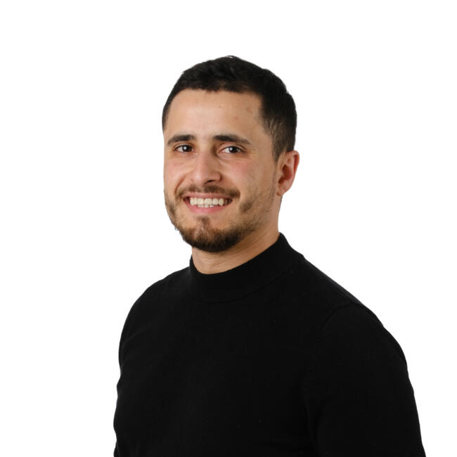 Babysitting job in Tondela: Pedro