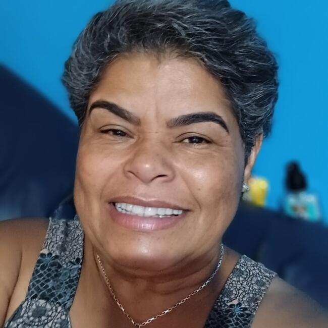 Babá em São Bernardo do Campo: Valcy