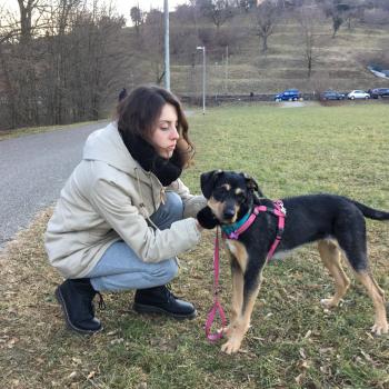 Babysitter Sorisole: Martina