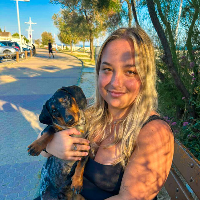 Babysitter in Toulon: Yodice