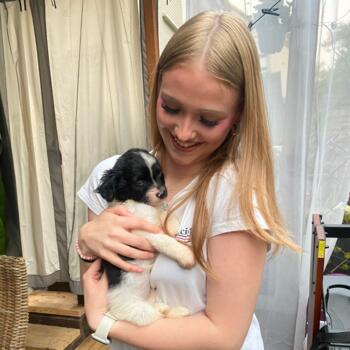 Babysitter Herdecke: Giulia Angel
