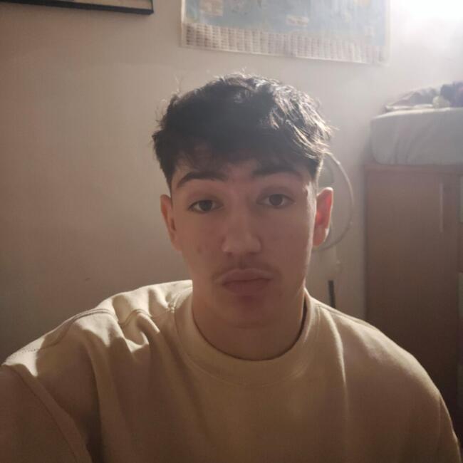 Trabajo de canguro en Catarroja: Sohan