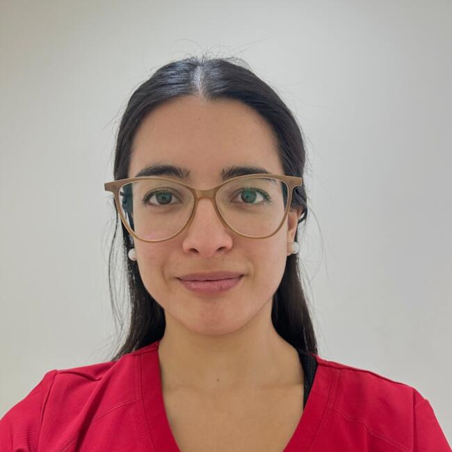 Niñera en La Reina: Natalia