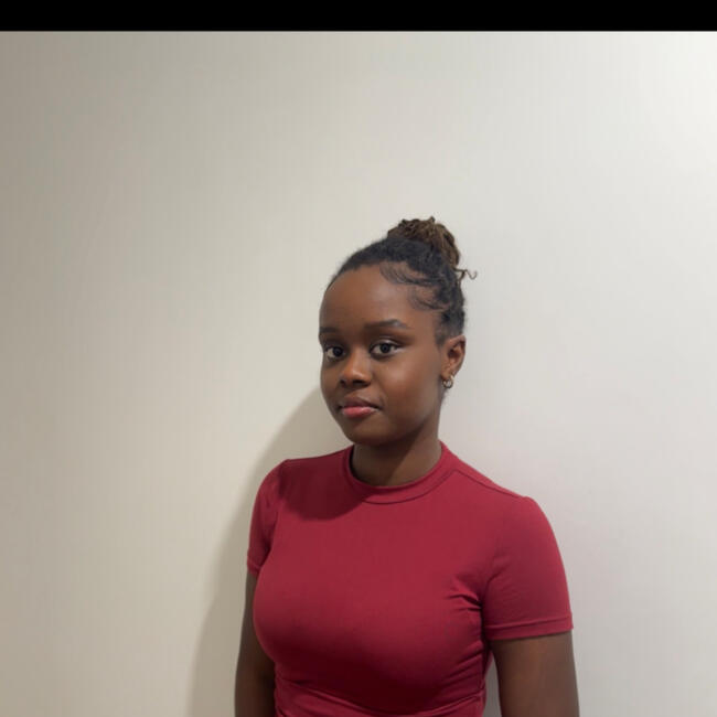 Babysitter in Aubervilliers: Kewe