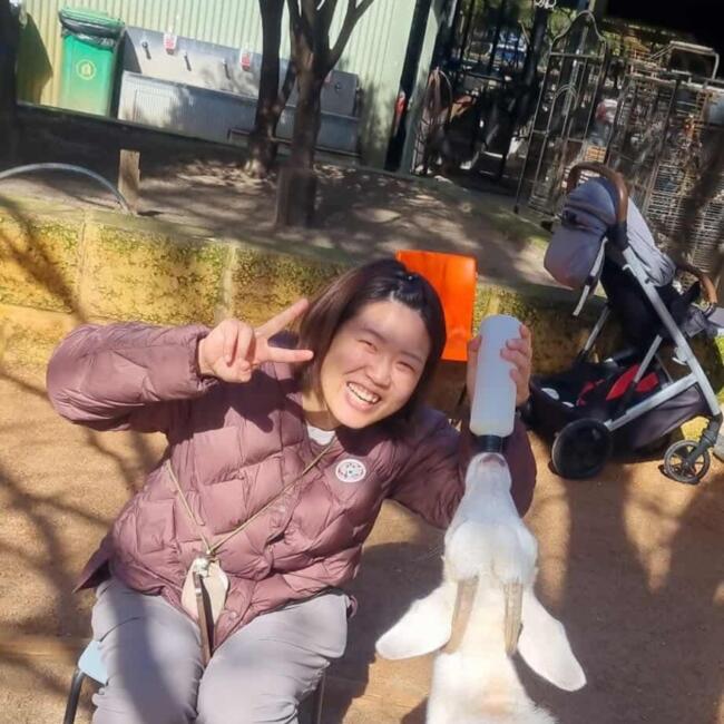 Babysitter in Perth: ばん