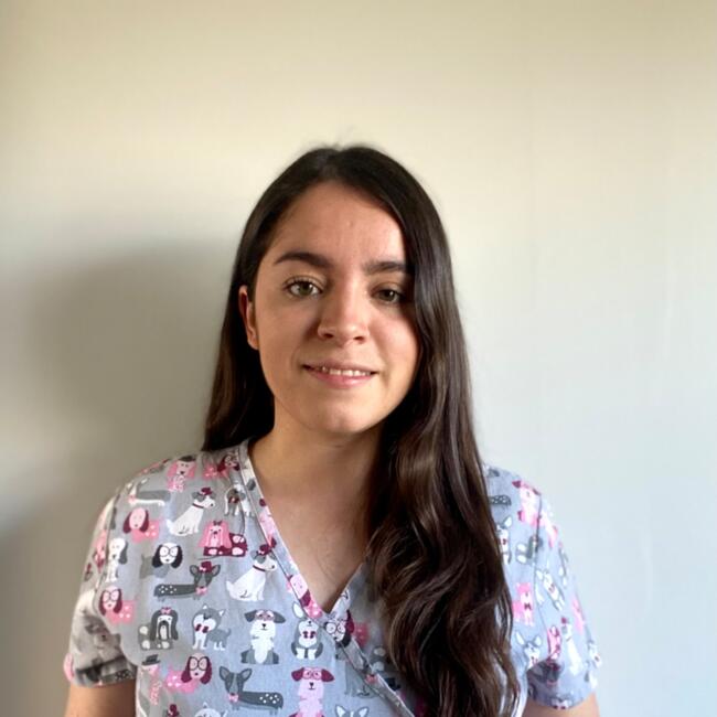 Niñera en Los Ángeles: Camila