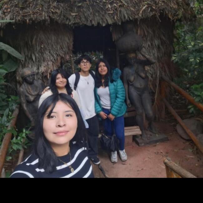 Niñera en Carabayllo: Rosmery Portella