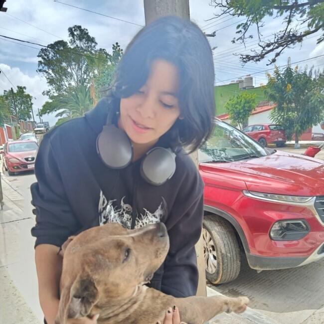 Babysitter in Oaxaca City: Yiyi