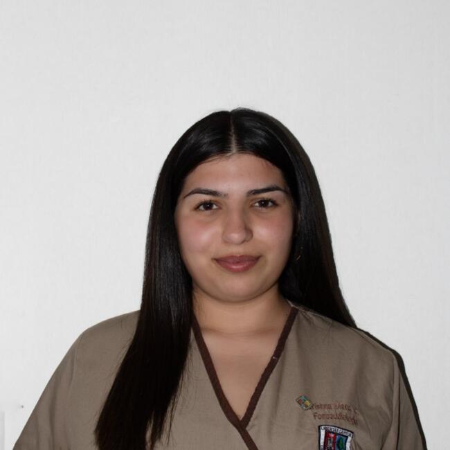 Babysitter in Port Montt: Krishna