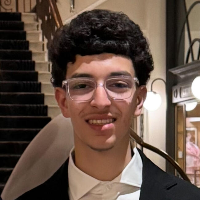 Baby-sitter in La Tour-de-Peilz: Laith