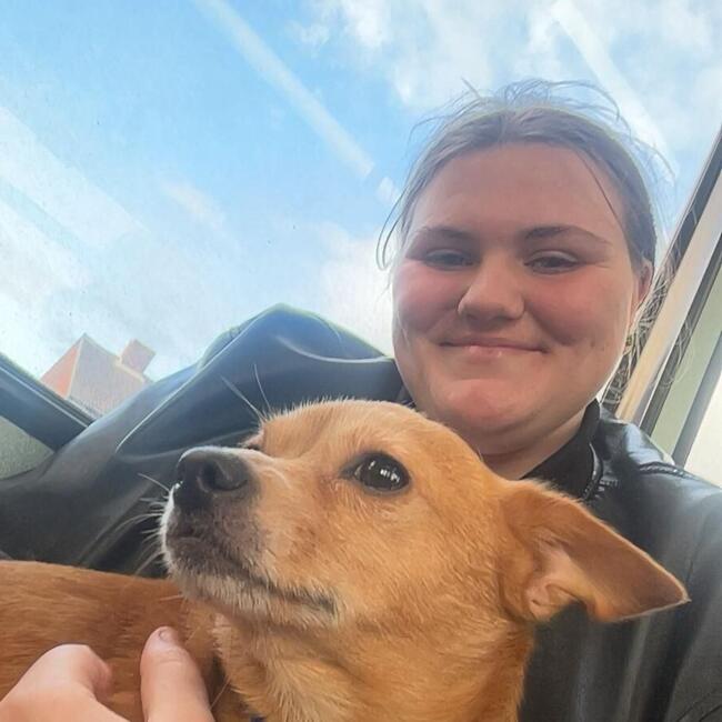 Babysitter in Wakefield: Rosie
