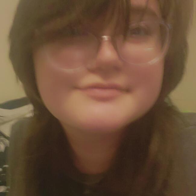 Babysitter in Aubrey: Katierose