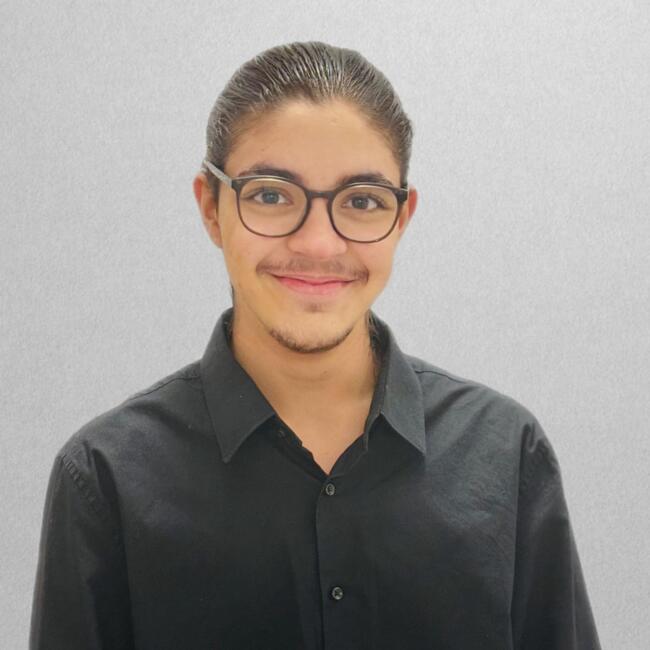 Baby-sitter in Lucerne: David