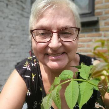 Babysitter in Turnhout: Lydie
