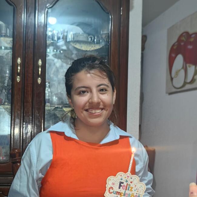 Babysitter in San Luis Potosí City: Sarahi