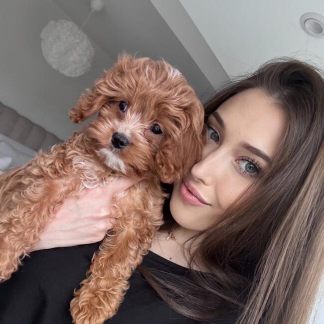 Babysitter in Mannheim: Sylwia