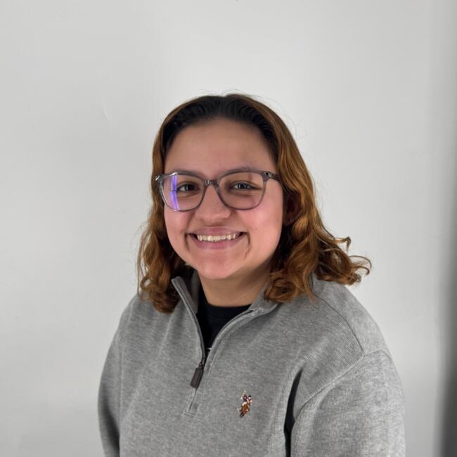 Babysitter in Woodridge (Illinois): Sam