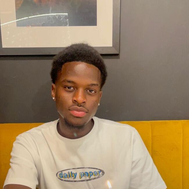 Babysitter in Woluwe-Saint-Lambert: David