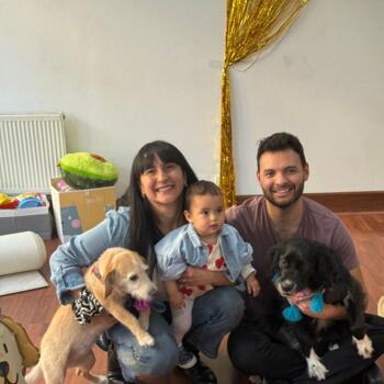 Δουλειά για babysitter στην περιοχή Providencia: δουλειά φύλαξης παιδιών Ariel