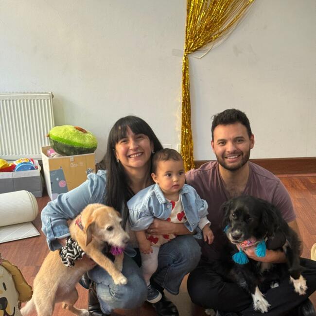 Trabajo para niñera en Providencia: Ariel Norambuena