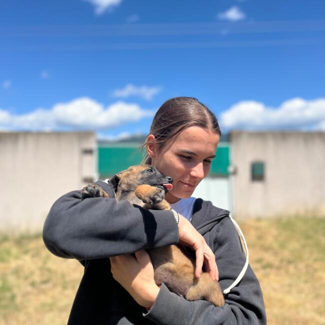 Babysitter in Grane: Louna