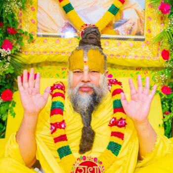 फरीदाबाद में बेबीसिटर: Poonam