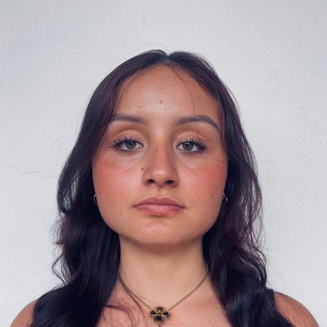 Babysitter στην περιοχή Manizales: Karen