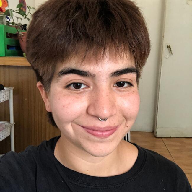 Niñera en Santiago de Chile: Elisandra