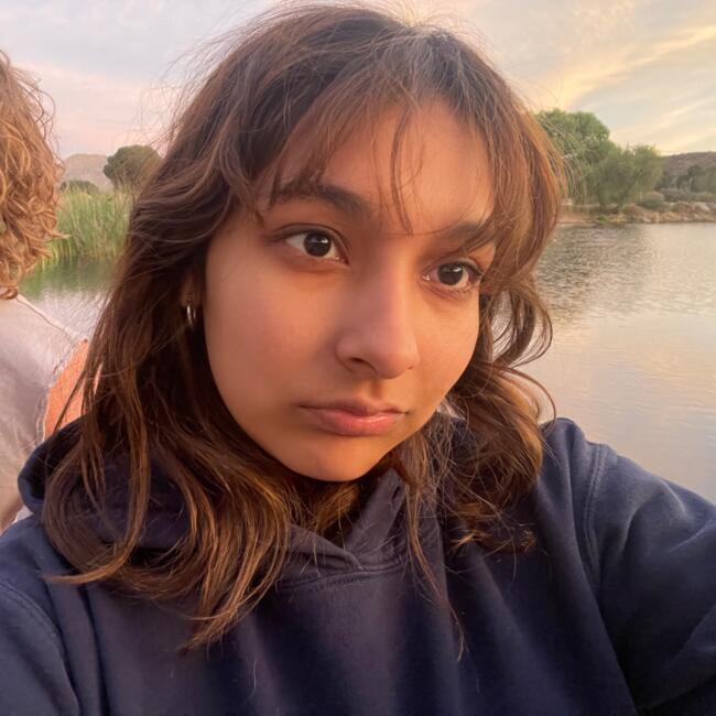 Babysitter in El Cajon: Aleah