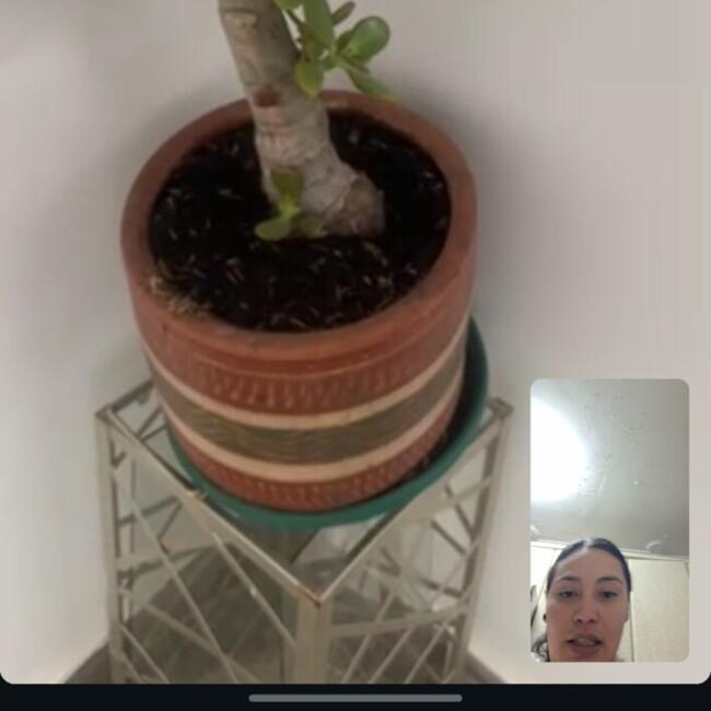 Canguro en Leganés: Katherine