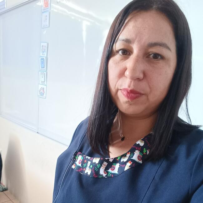 Babysitter in Santiago: Jocelyn