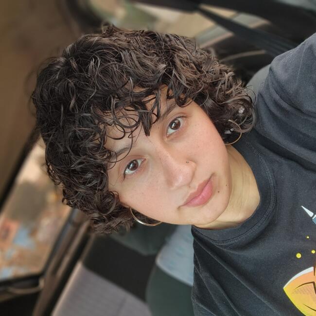 Babysitter in Bento Gonçalves: Sherolin