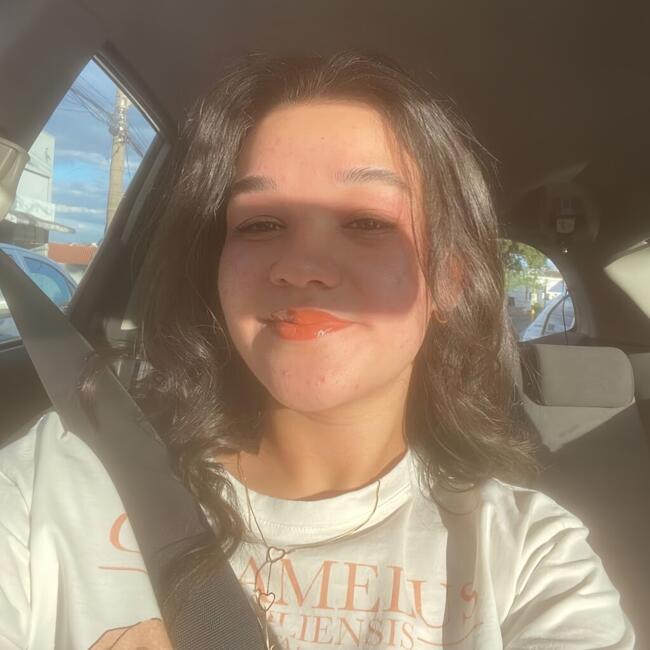 Babysitter in Piracicaba: Melise