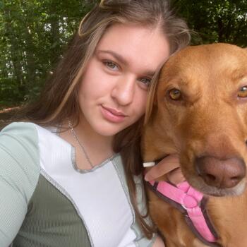 Babysitter in Heidenheim: Giulia