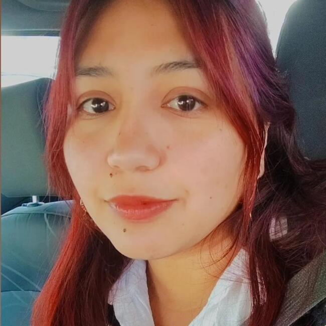 Babysitter in Chillán: Thiara