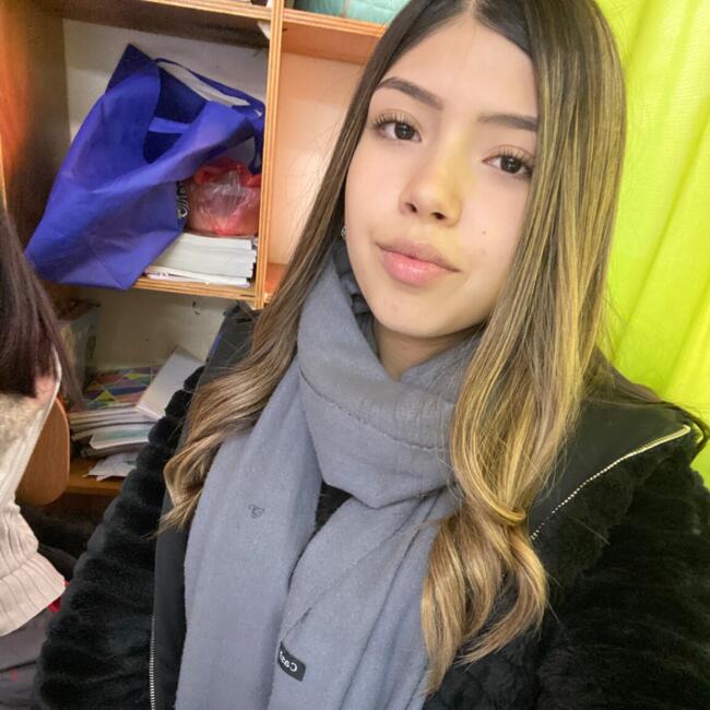 Niñera en Coquimbo: Sofía