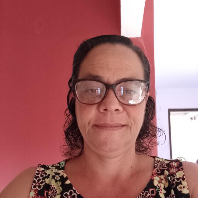 Babysitter in Londrina: Cleusa