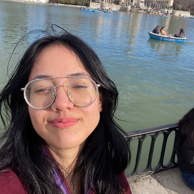 Babysitter em Odivelas: Anny