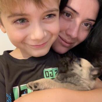 Babysitting job in Temuco: babysitting job Francisca