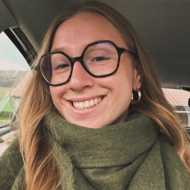 Babysitter in Chevigny-Saint-Sauveur: Manon