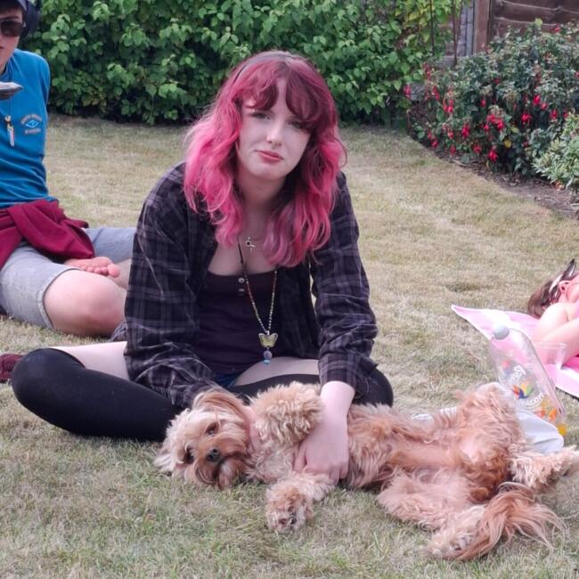 Babysitter in Altrincham: Sophie