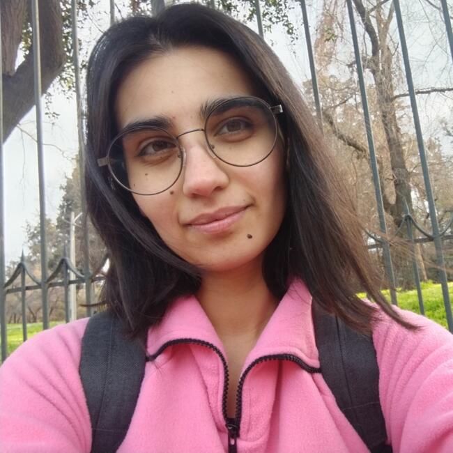 Babysitter in Santiago: Gisselle