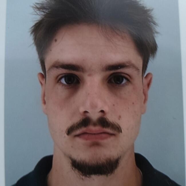 Babysitter in Montpellier: Alexis