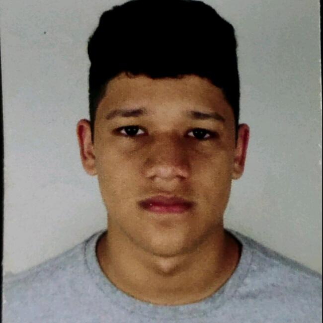 Babysitting job in São Paulo: Paulo