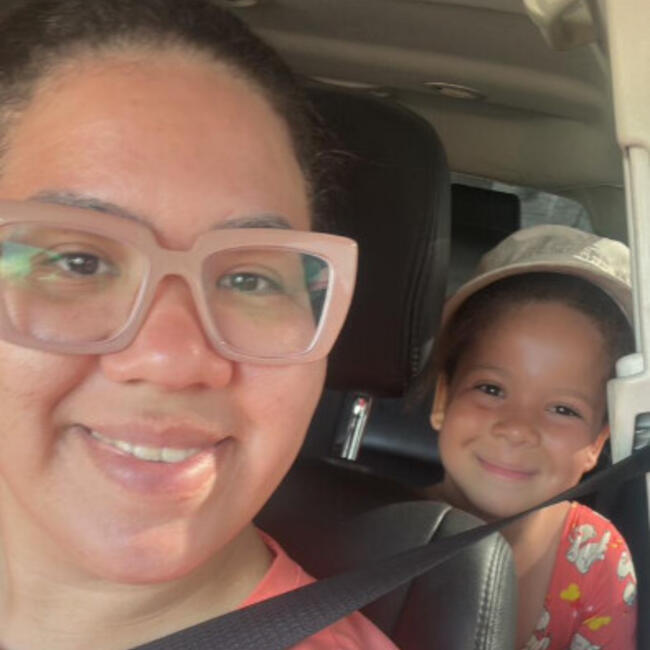 Babysitting job in Araras: LAURA