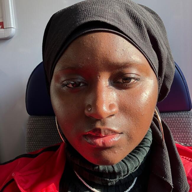 Babysitter in Leudelange: Jemeritânia