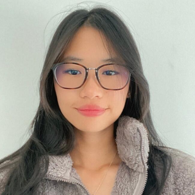 Babysitter in Toowoomba: Hanz